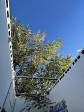 37_2022-10-24-1737-21.jpeg