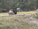 155_2023-09-07-1352-09.jpg
