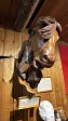 78_2025-06-21-1308-19-_IMG_0426.jpeg