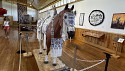 87_2025-06-21-1350-37-_IMG_0438.jpeg
