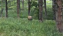 04_2025-06-22-1046-12-_IMG_0519.jpeg