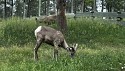 09_2025-06-22-1054-29-_IMG_0528.jpeg