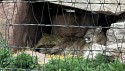 21_2025-06-22-1106-00-_IMG_0535.jpeg
