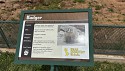 33_2025-06-22-1135-03-_IMG_0575.jpeg