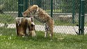 44_2025-06-22-1149-09-_IMG_0596.jpeg