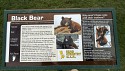 45_2025-06-22-1152-22-_IMG_0599.jpeg
