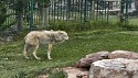 50_2025-06-22-1205-50-_IMG_0606.jpeg