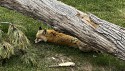 55_2025-06-22-1208-26-_IMG_0614.jpeg