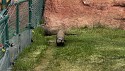 58_2025-06-22-1209-33-_IMG_0616.jpeg