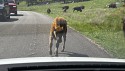 12_2025-06-22-1539-04-_IMG_0644.jpeg