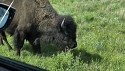 16_2025-06-22-1539-48-_IMG_0649.jpeg